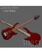 Rock Star Bass